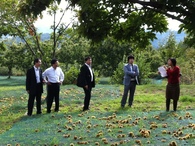 Le Japon à la rencontre de la Châtaigne d'Ardèche Le Japon à la rencontre de la Châtaigne d'Ardèche