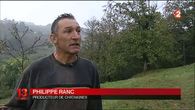 Reportage sur le Cynips au 13h de France 2 Reportage sur le Cynips au 13h de France 2