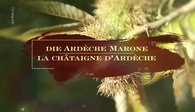 Arte - documentaire Arte - documentaire